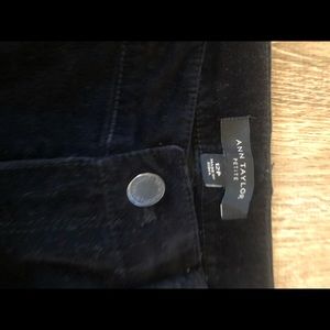 Black Velvet Ann Taylor